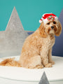 Santa Hat for Dogs