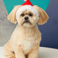 Christmas Holiday Hood for Dogs