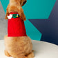 Christmas Holiday Knit Sweater for Dogs