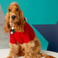Christmas Holiday Knit Sweater for Dogs