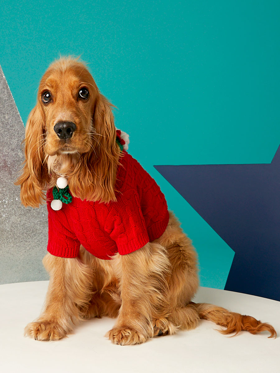 Christmas Holiday Knit Sweater for Dogs