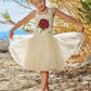Belle Yellow Tutu Princess Dress for Girls