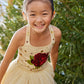 Belle Yellow Tutu Princess Dress for Girls