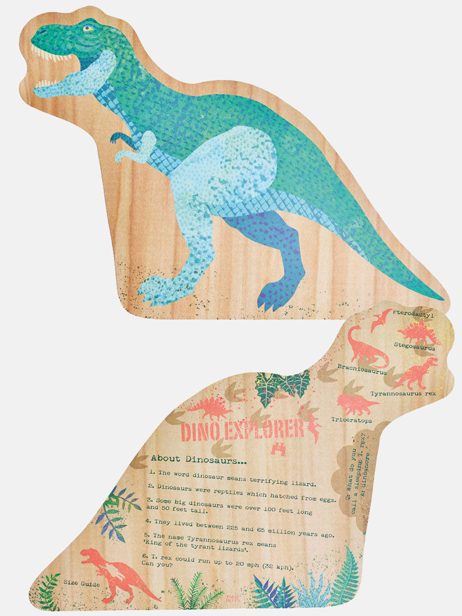 Dino Explorer Paper Place Mats (x12)
