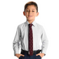White & Blue Windowpane Shirt for Boys