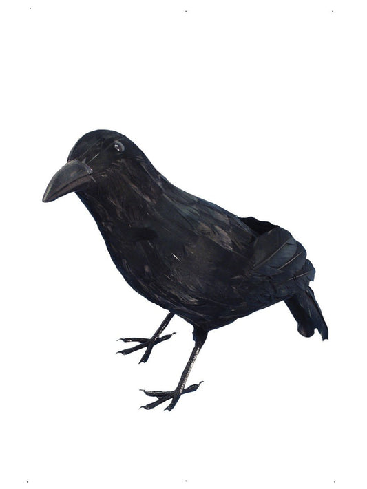 Crow