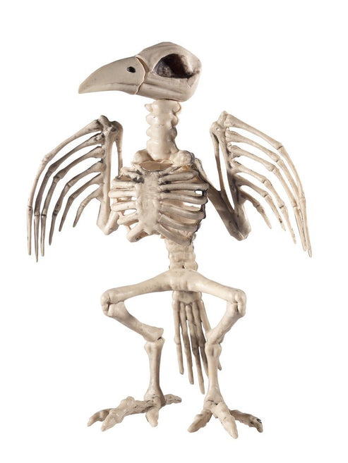Skeleton Animal Decor