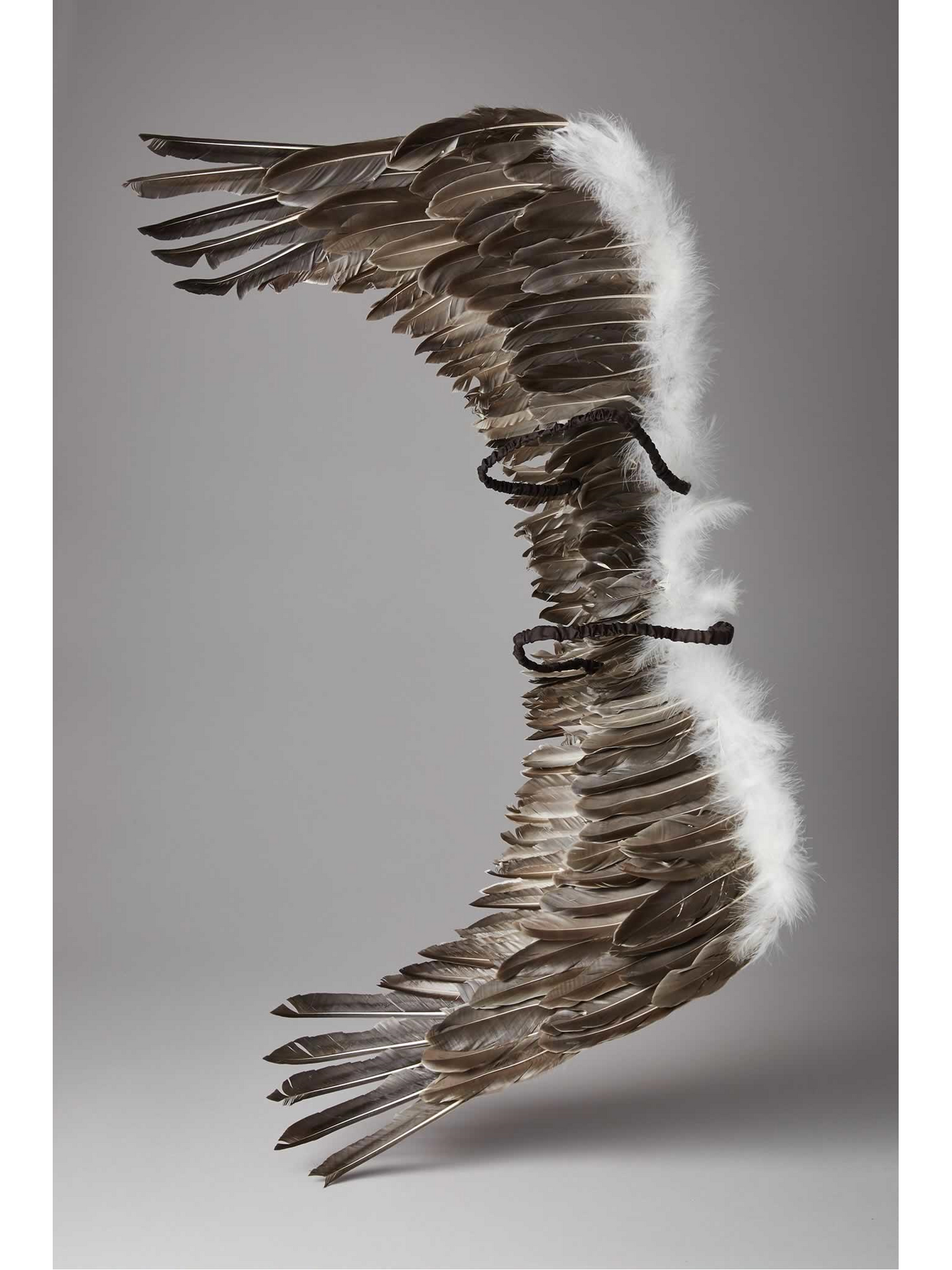 Eagle Wings Drawing eagle-wings-drawing
